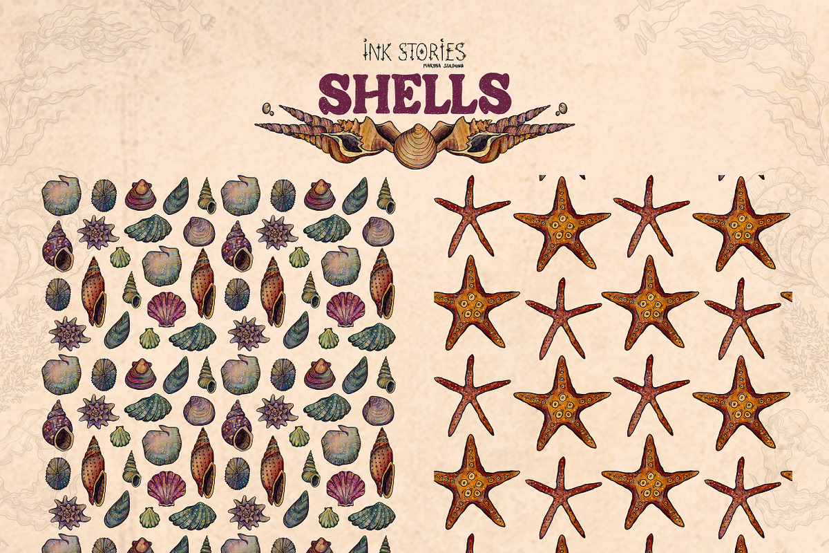Shells, an Animal Illustration by Ink Stories (Photo 20 of 21)
