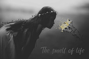 Jubilation. Handwritten Font, a Script Font by AnMark (Thumbnail 4 of 9)