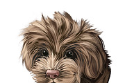 Dogs Cross Breeds 56 Animals Bundle, an Animal Illustration by Dneprstock (Thumbnail 53 of 55)