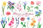 Blooming flowers watercolor clipart., an Illustration by SabinaWatercolorArt (Thumbnail 1 of 8)