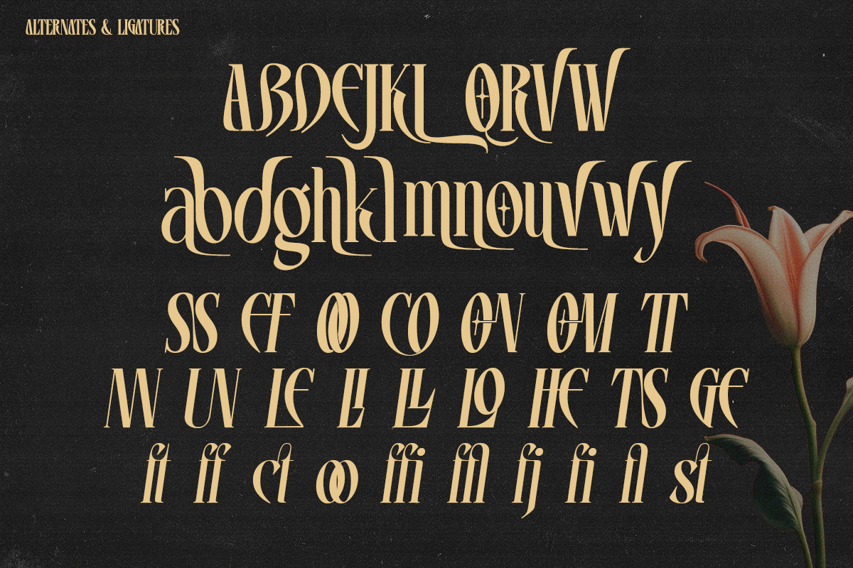 Vrassco - Modern Display Serif, a Serif Font by Qweera Studio (Photo 11 of 12)