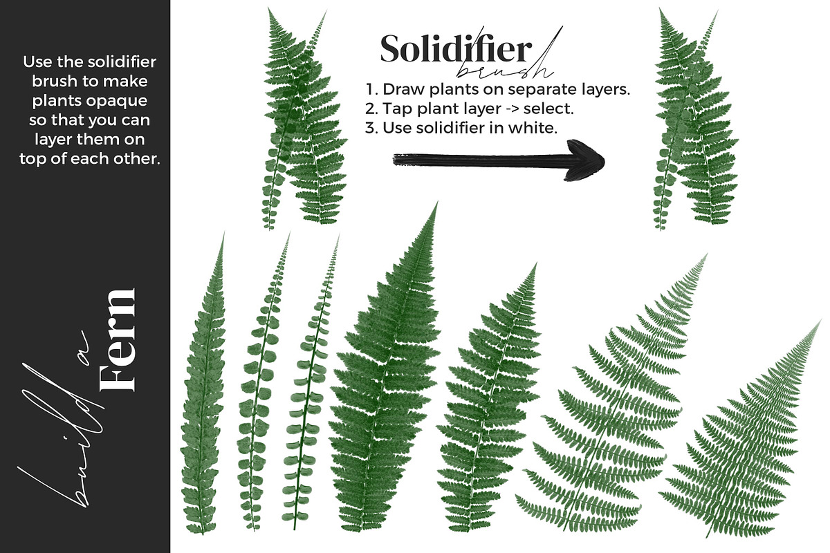 Greenery Brushes for Procreate, a Brush Add-On by AJ Brushes (Photo 6 of 9)