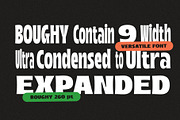 Boughy - Font Family |9 Fonts, a Serif Font by Craft Supply Co. (Thumbnail 2 of 13)
