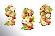 Huzelnuts. Watercolor collection, a Food Illustration by Daria Ustiugova (Thumbnail 10 of 23)