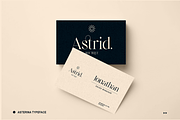 Elegant Ligature Serif Font, a Serif Font by Bekeen.co (Thumbnail 4 of 10)