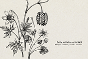 Spring Wildflower Vintage Vector Set, a Seasonal Illustration by Yevheniia (Thumbnail 7 of 9)