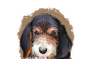 Puppies Dog Breeds Big Bundle 135Pcs, an Animal Illustration by Dneprstock (Thumbnail 48 of 68)