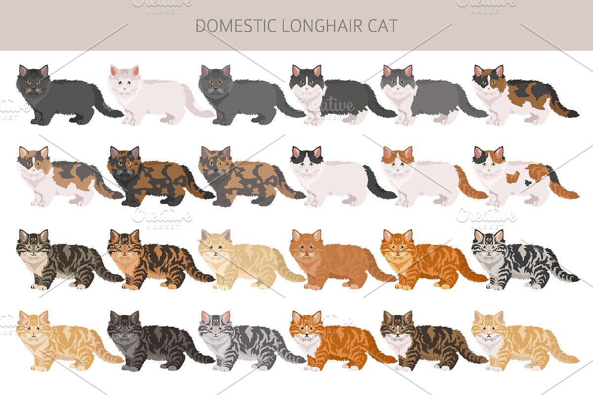 Domestic longhair cat, an Animal Illustration by pet design shop (Photo 4 of 6)