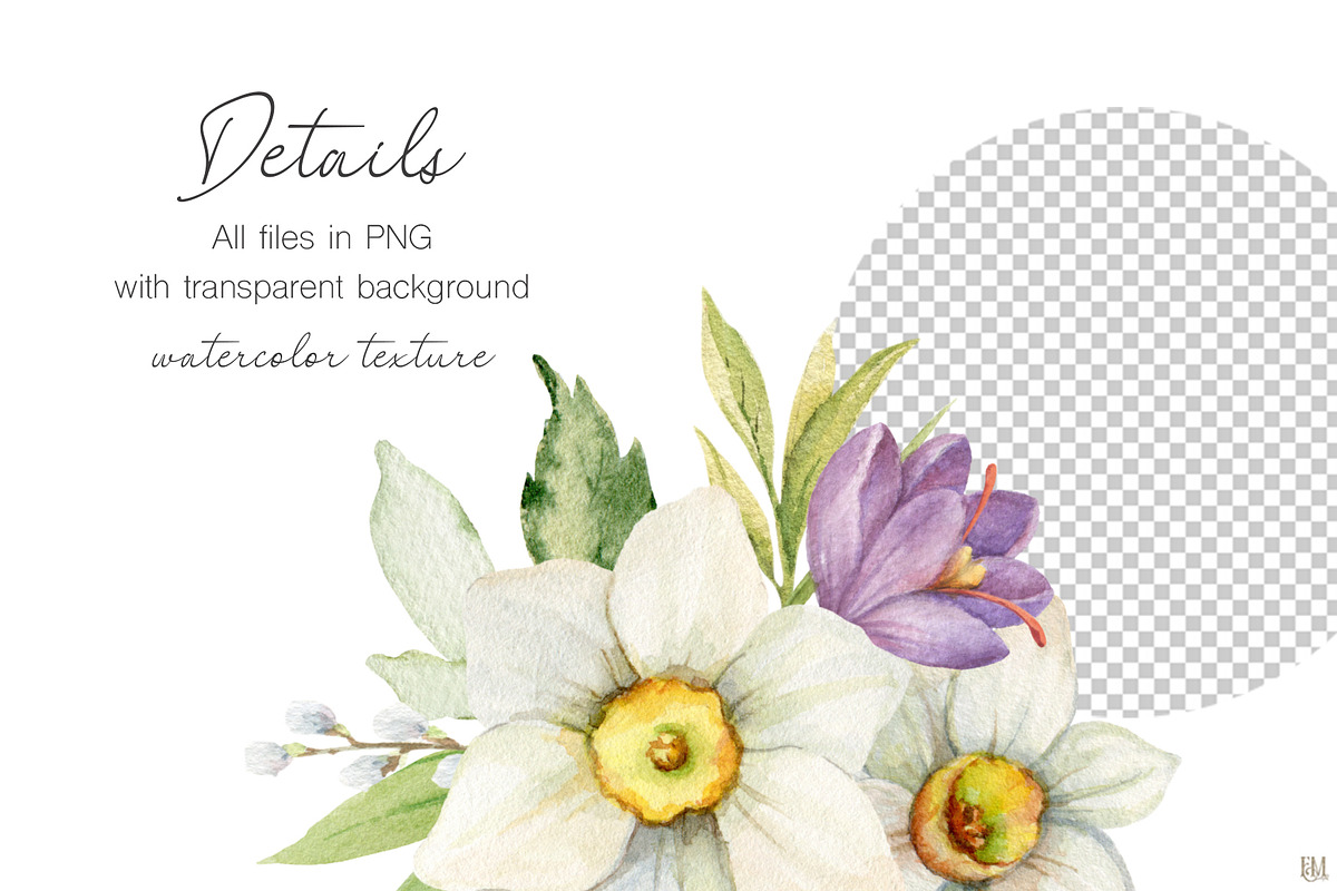 Watercolor Daffodils and Saffron, a Decorative Illustration by Elena Medvedeva (Photo 6 of 8)