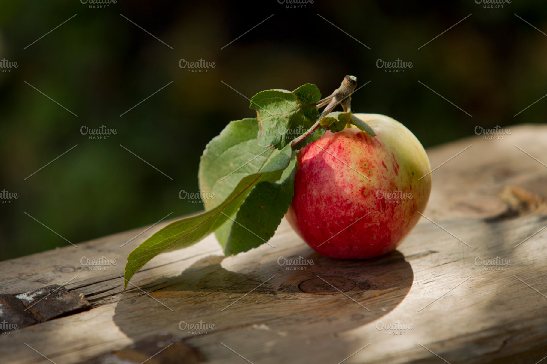 Apples on the bench stock photo containing apple and bench
