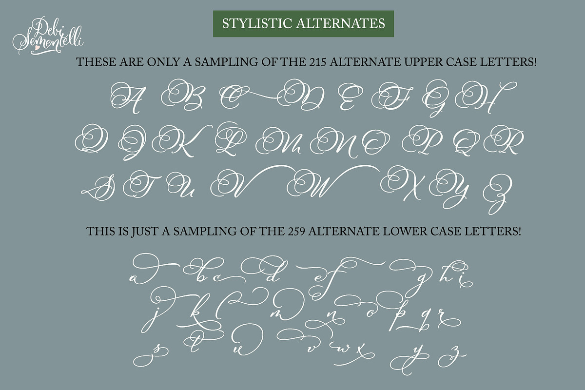 Hello My Love Pro Script Font, a Handwritten Font by Debi Sementelli (Photo 10 of 12)
