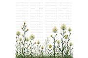 Hemlock Seed Pod, a Decorative Illustration by Bloom Craft Creations (Thumbnail 12 of 13)