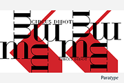 Circus Didot, a Serif Font by Paratype (Thumbnail 4 of 6)