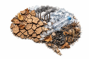 Brain made of cracked earth, polluti, a Photo by Dvoevnore photos