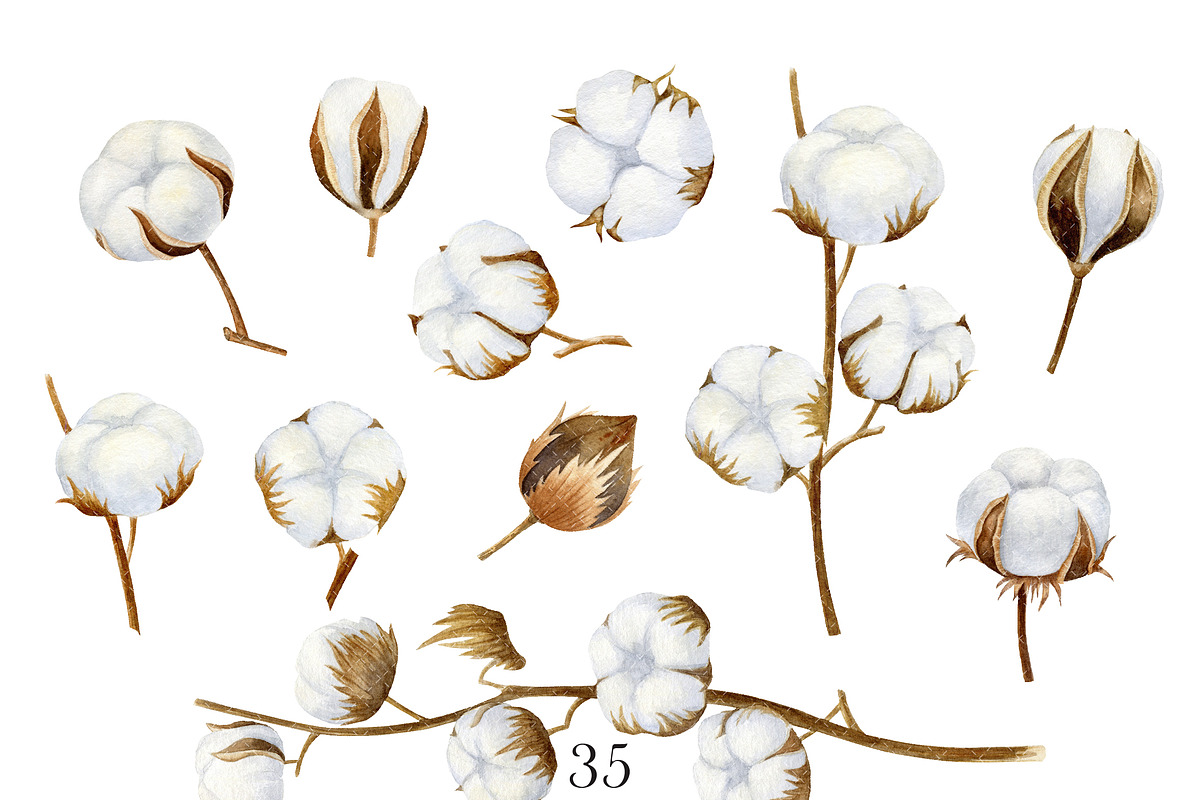 Bouquet of memories. Watercolor, an Object Graphic by Watercolor Clipart (Photo 2 of 6)