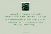 Milssky || Modern & Classy Ligature, a Serif Font by BrandSemut (Thumbnail 16 of 16)