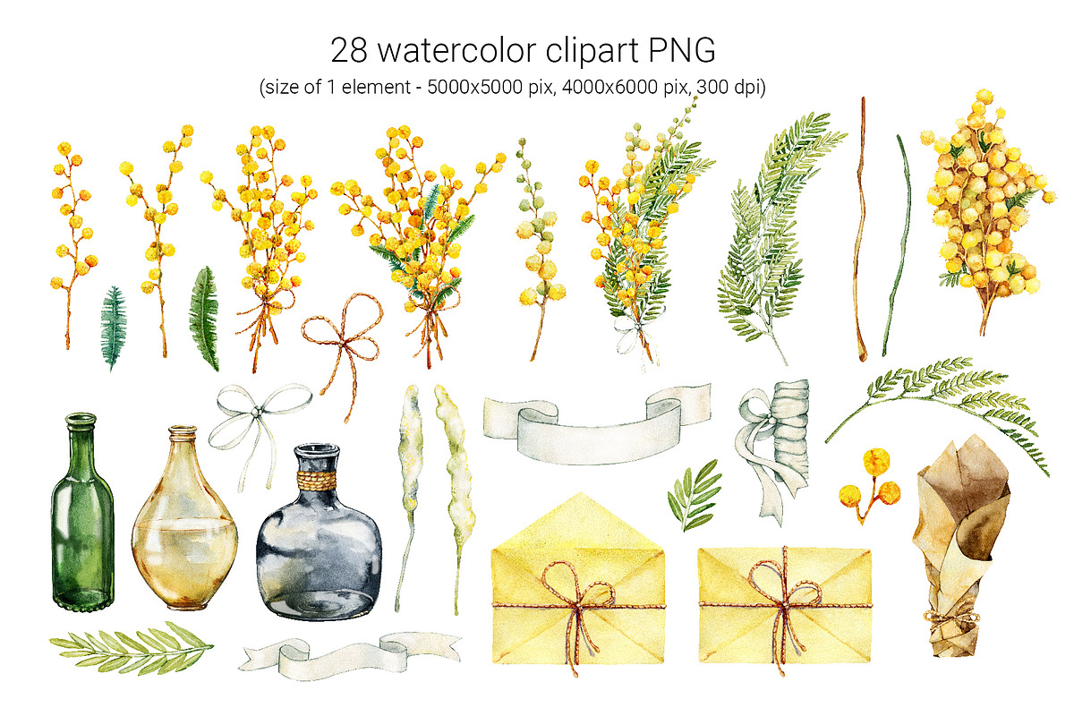 Spring mimosa, watercolor flowers, an Illustration by Artmanata (Photo 2 of 16)
