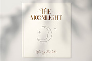 Le Jour - Font Script Serif Family, a Font by din-studio.com (Thumbnail 11 of 15)