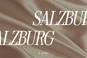 Salzare Display Font Bundle, a Serif Font by Sylt Type (Thumbnail 5 of 7)