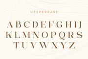 Dalgena | An Elegant Display Serif, a Serif Font by Andrimada Creative (Thumbnail 6 of 13)