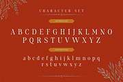 Fliren - Stylish Serif Font, a Serif Font by Sronstudio (Thumbnail 14 of 16)