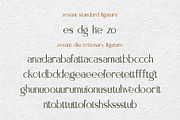 Zesant, a Sans Serif Font by Drizy (Thumbnail 6 of 11)