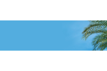 Palm leaves against the sky, a Nature Photo by yanadjana