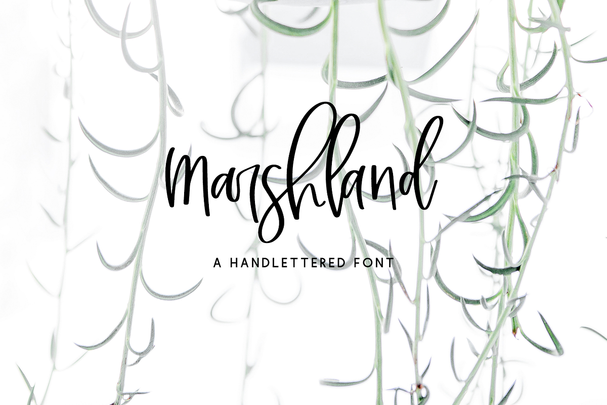 Marshland Script, a Script Font by Beck McCormick