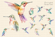 Watercolor Hummingbird and Flowers, an Animal Illustration by Dazzling Art Boutique (Thumbnail 2 of 8)