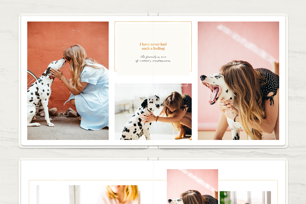 Gold Wedding Album Template, a Brochure Template by ArealPro (Photo 13 of 13)