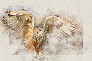 Soft Colored Pencil Photoshop Action, an Action Add-On by GorynArt (Thumbnail 14 of 16)