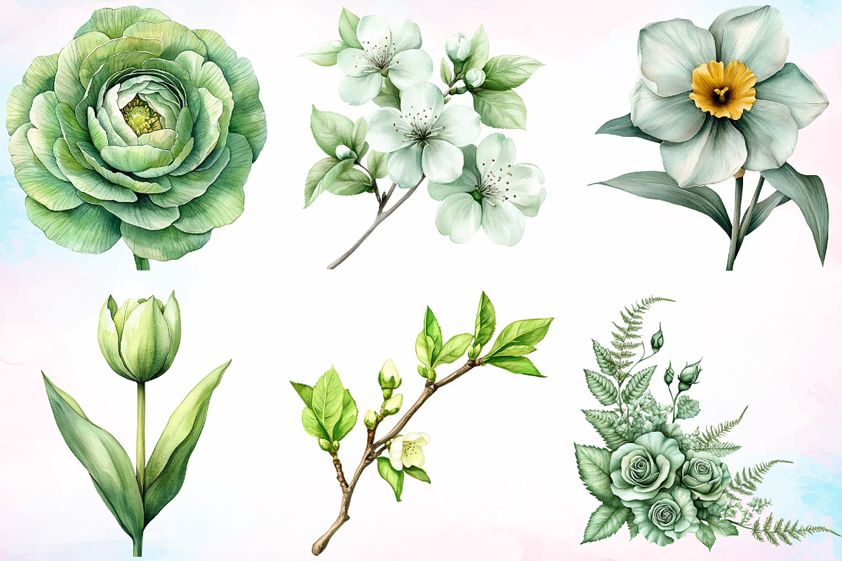 Watercolor Green Blossom Spring PNG, an Illustration by Canvas Craft (Photo 2 of 4)