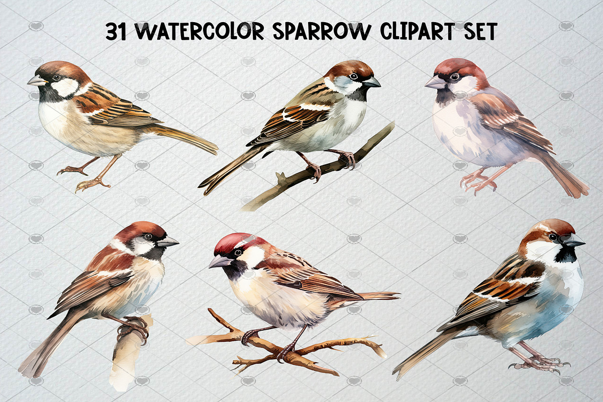 Watercolor Sparrow Clipart Set, an Animal Illustration by CropUp Creative (Photo 2 of 5)