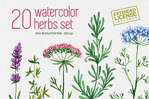 20 Watercolor Herbs Set