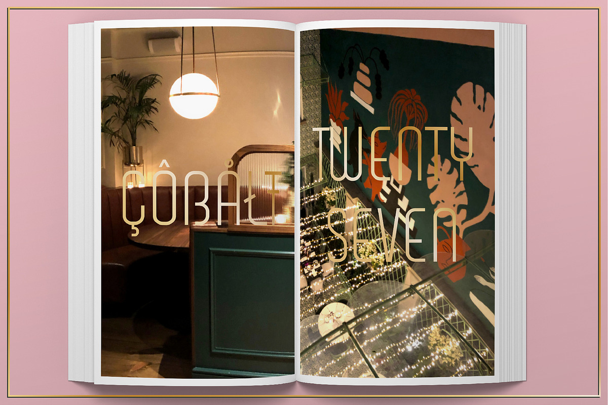 Cobalt 27 Modernist Font Family, a Sans Serif Font by Lee Iley (Photo 6 of 6)