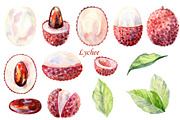 Watercolor tropical fruits., an Illustration by TaPilipa (Thumbnail 5 of 39)