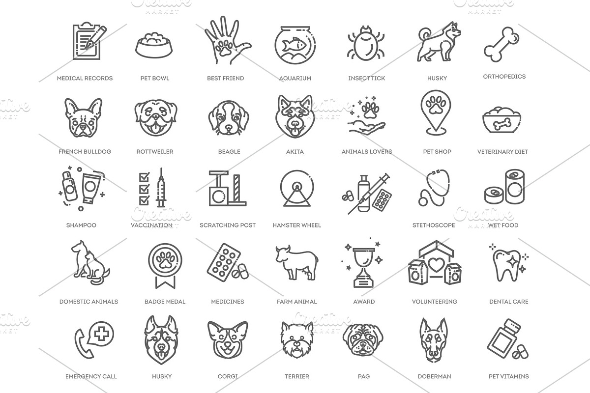 Veterinarian icon set, an Outline Icon by Tettygreen (Photo 1 of 2)