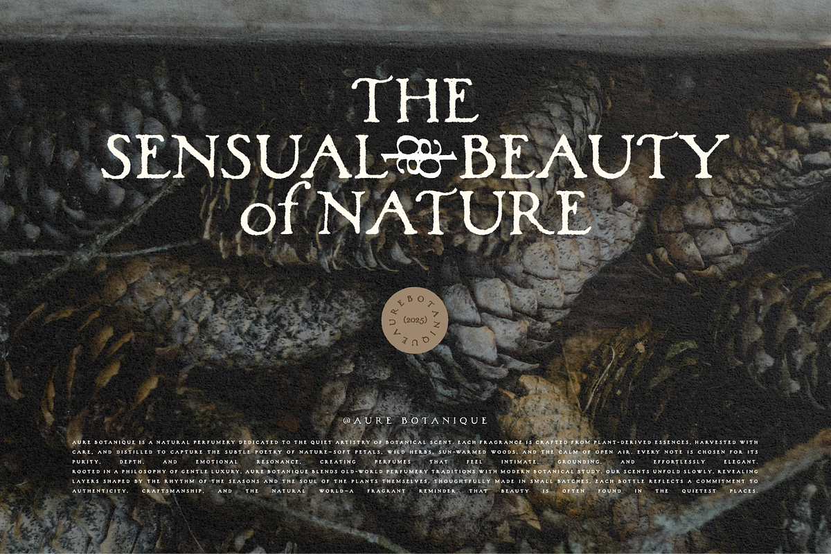 Woodlands - Vintage Hand-painted, a Serif Font by Harmonais Visual (Photo 12 of 23)