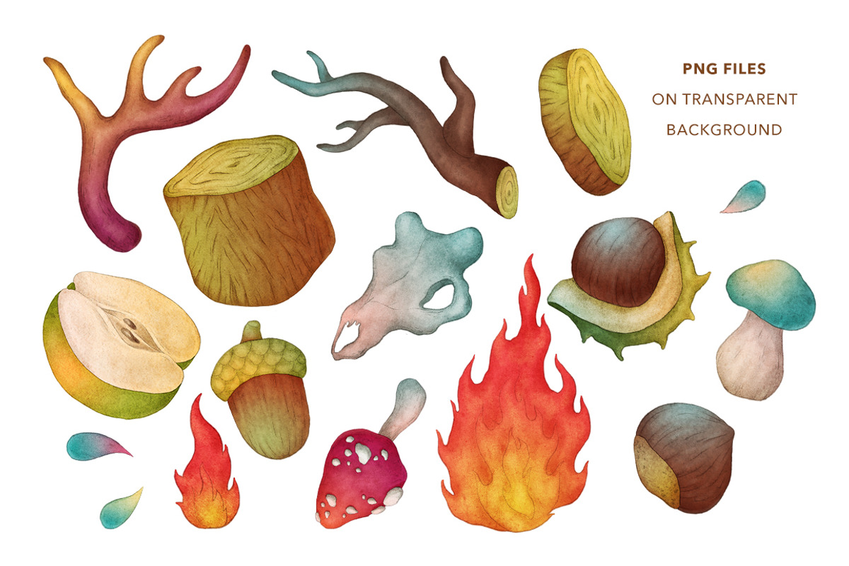 Autumn Forest, Fall Collection, an Object Illustration by Olga Olmix (Photo 3 of 4)