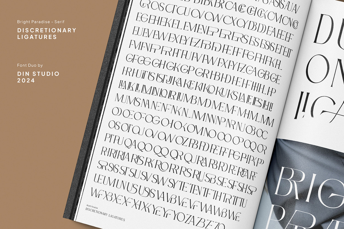 Brighter Paradise, a Serif Font by din-studio.com (Photo 11 of 15)