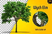 CUT OUT TREES - 60 PCS BUNDLE, a Packaging Mockup by 3DSTORE (Thumbnail 42 of 63)