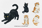 15 Bundle Watercolor Cute Cats Pet, an Animal Illustration by Morspective (Thumbnail 7 of 8)