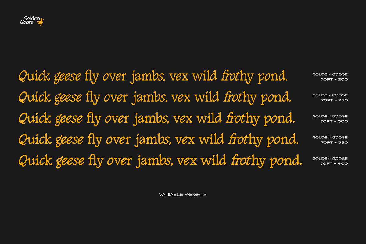 Golden Goose – Italic Infused Serif, a Serif Font by Unio Designs (Photo 6 of 12)