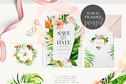 Living Coral - Duality Set, an Illustration by studioequinox (Thumbnail 6 of 16)