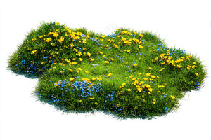 Lush green grass with yellow and blu, a Photo by Pixeness Studio