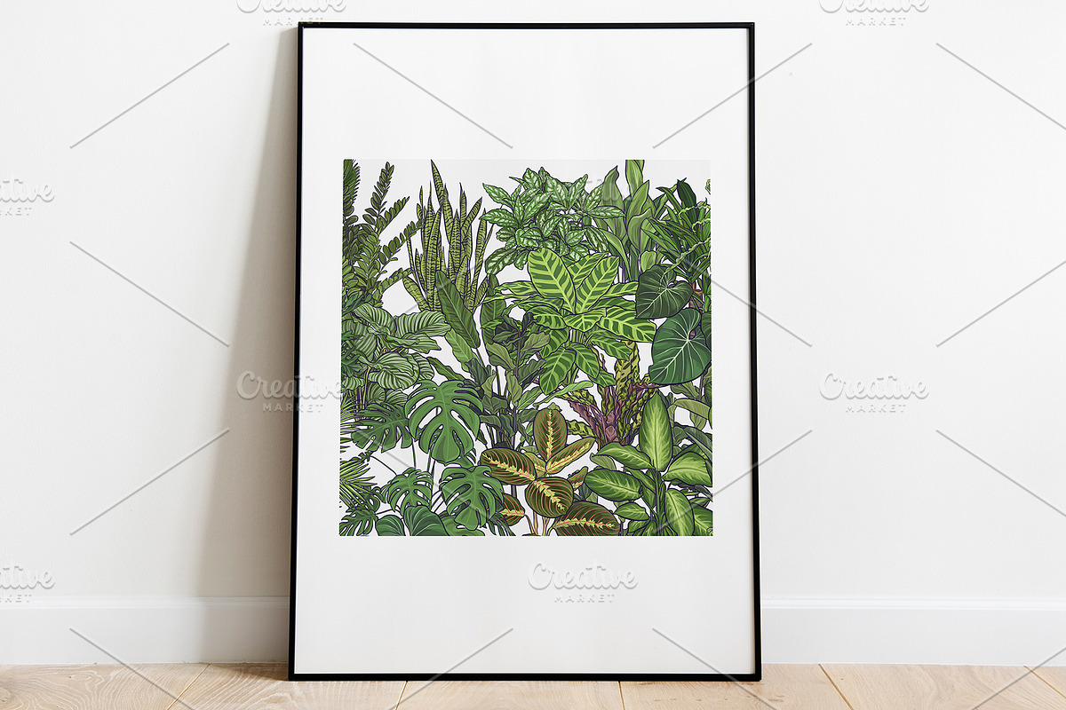 Indoor Plants VECTOR illustrations, a Seasonal Illustration by Natalka Dmitrova art (Photo 3 of 16)