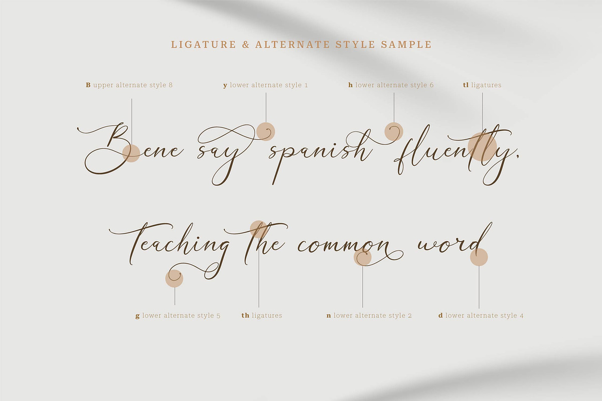 Galteniya | Beautiful Script, a Script Font by Denustudios (Photo 11 of 15)