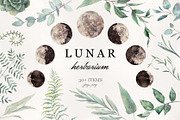 LUNAR Herbarium, an Illustration by Eisfrei (Thumbnail 1 of 10)