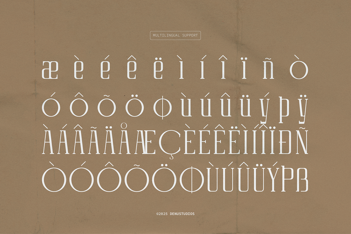 Celvio Monase | New Display Serif, a Serif Font by Denustudios (Photo 12 of 12)