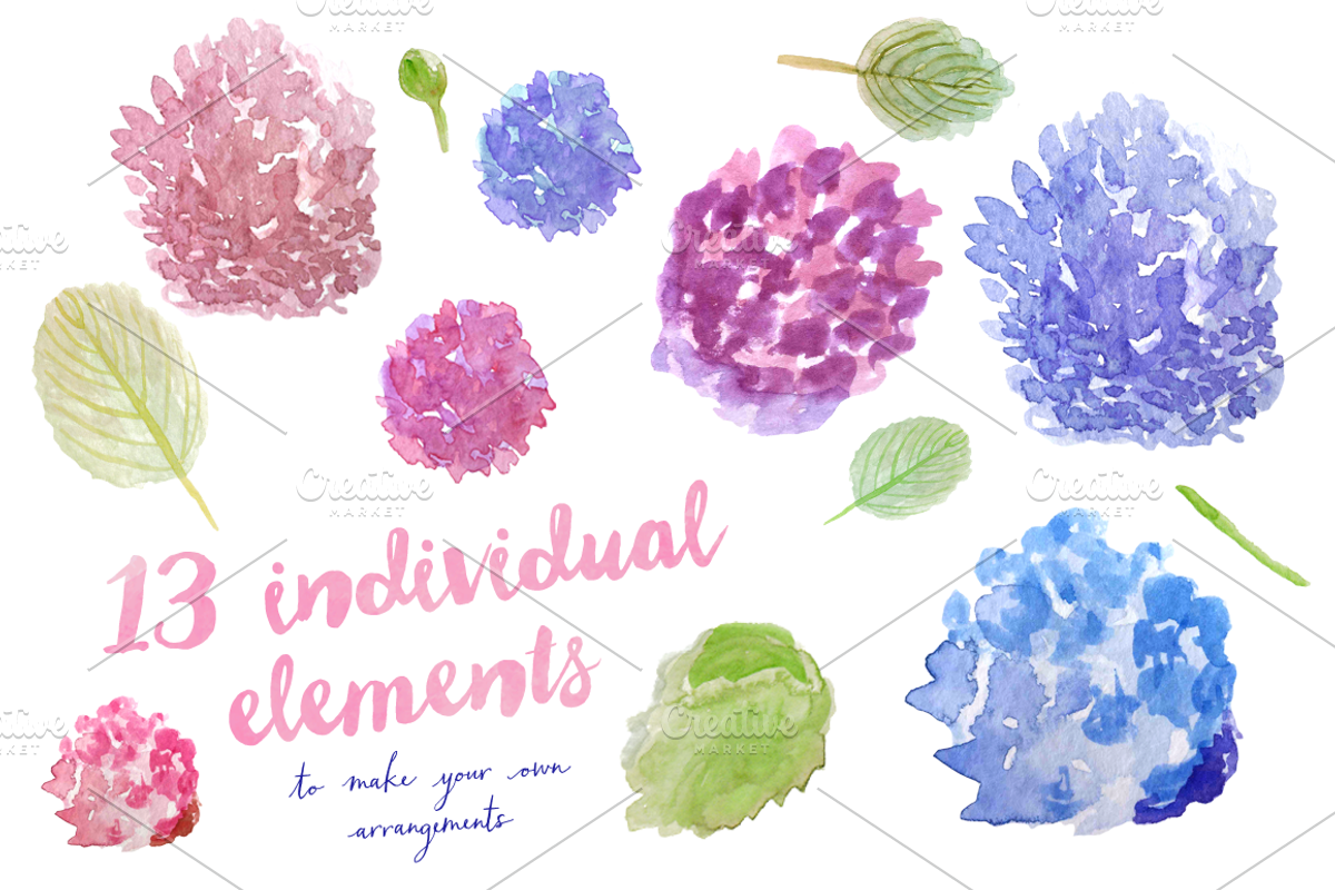 Watercolor Hydrangea Clipart, an Illustration by Emerald & Ivy Studios (Photo 2 of 4)